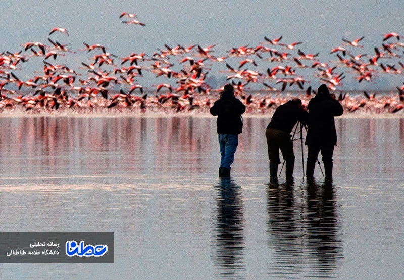 تلاش فارغ التحصیل دانشگاه علامه طباطبایی برای تحقق رویای گردشگری در میانکاله