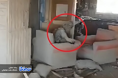 تا آخرین گلوله جنگیده بود