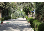 «روایتِ بهار از زاویه دوربین عطنا»
