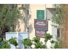 «روایتِ بهار از زاویه دوربین عطنا»