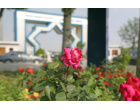 «روایتِ بهار از زاویه دوربین عطنا»