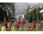 «روایتِ بهار از زاویه دوربین عطنا»