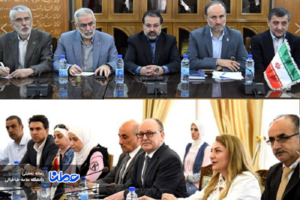 آموزش زبان فارسی در دانشگاه های سوریه و لبنان تقویت می‌شود