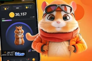 بازی همستر کامبت کشته گرفت!