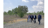 بازدید رئیس دانشگاه علامه طباطبائی از باغ سیب کرج در راستای افزایش بهره‌وری املاک دانشگاه