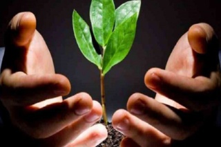 درمان اعتیاد به روش مدل کرافت