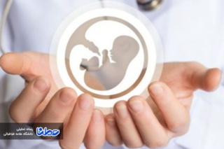 دو راهبرد اقتصادی و فرهنگی، راهکار تحقق طرح جوانی جمعیت