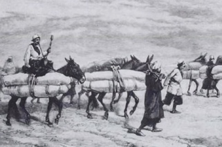 «انعکاس انتقال اجساد در حرم‌های مطهر در سفرنامه‌ها» به روایت دکتر سعید طاوسی مسرور