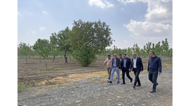 بازدید رئیس دانشگاه علامه طباطبائی از باغ سیب کرج در راستای افزایش بهره‌وری املاک دانشگاه
